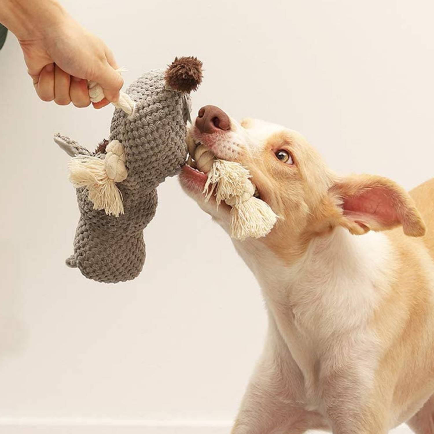 Squeaky Dog Chew Toy, Plush Donkey: image 5