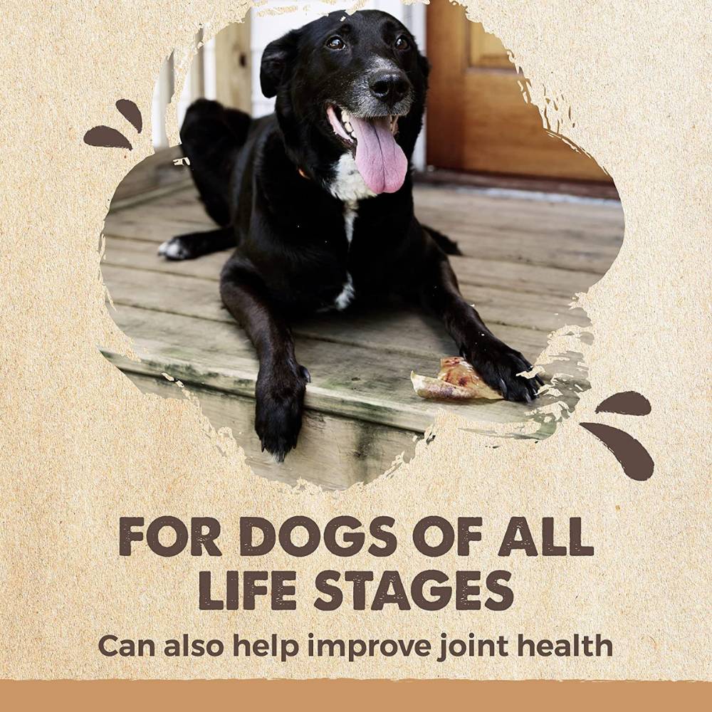 Natural Pork Ear Dog Treat, x12 Pack