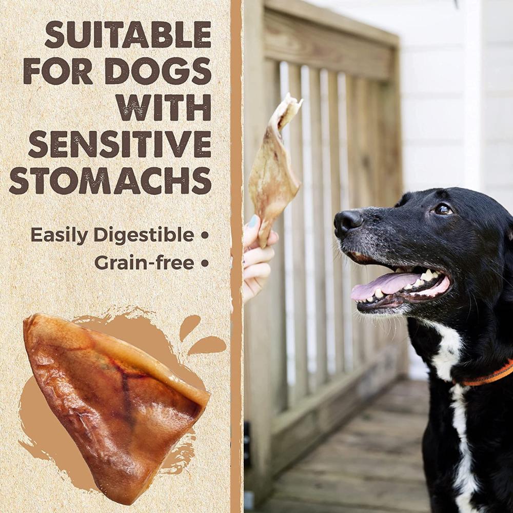 Natural Pork Ear Dog Treat, x12 Pack