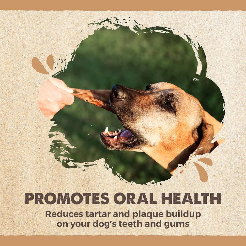 Natural Pork Ear Dog Treat, x12 Pack