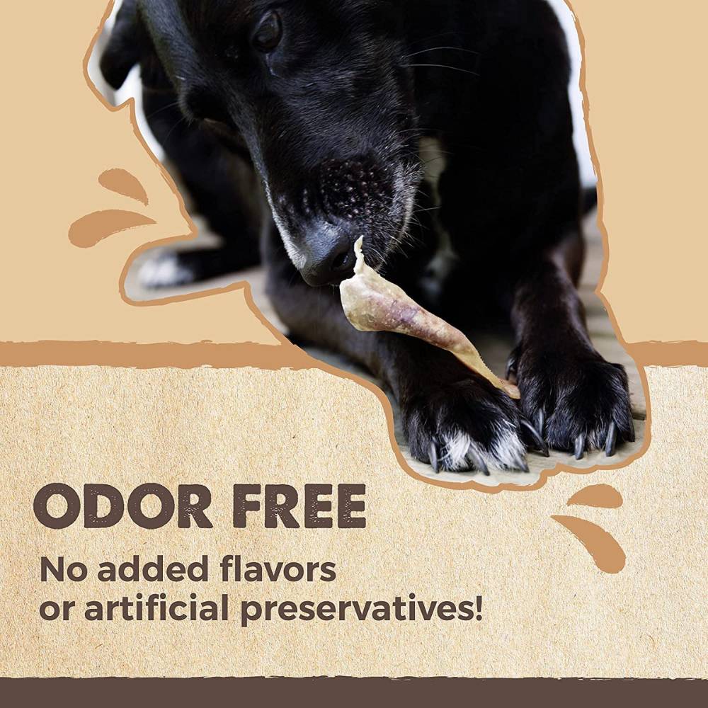 Natural Pork Ear Dog Treat, x12 Pack